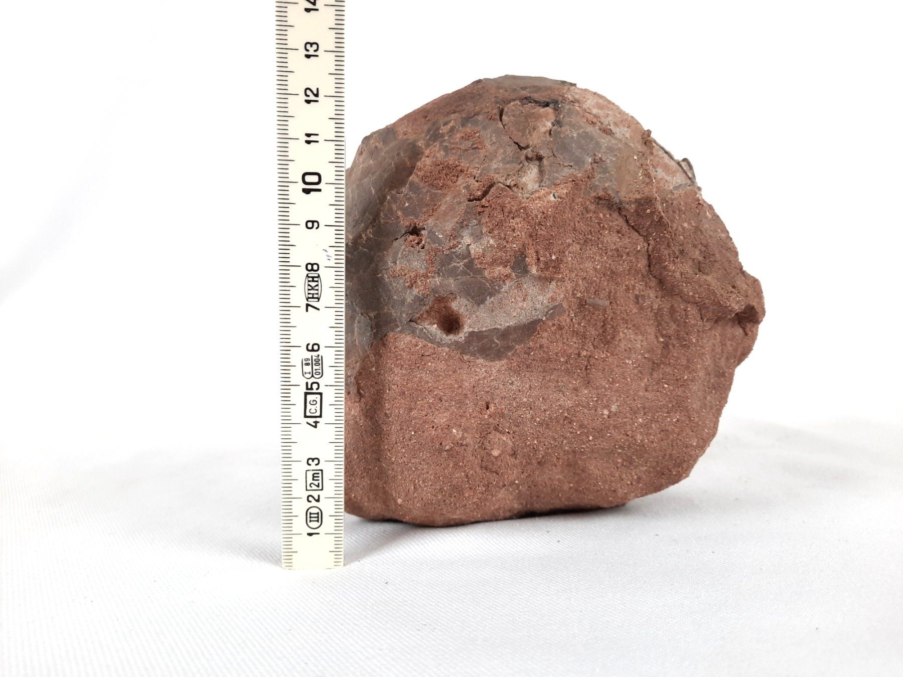 Fossili: Dinosaurier Ei versteinert – Usato da Beinwil am See venduto da Restwert_Beinwil 6