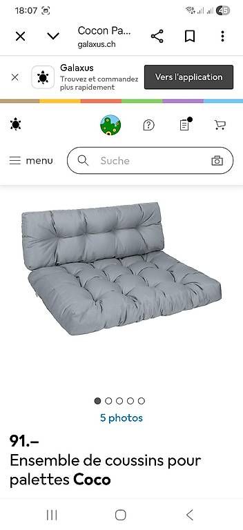 Cuscini: Coussins de palettes – Usato da Cugy VD venduto da deb_7ln6 1