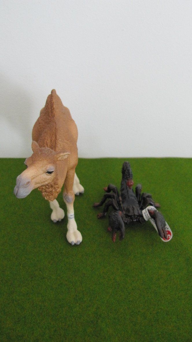 Schleich Giocattoli: Schleich Dromedar & Skorpion – Nuovo (secondo la descrizione) da Brunnen venduto da Kiwiland1 1