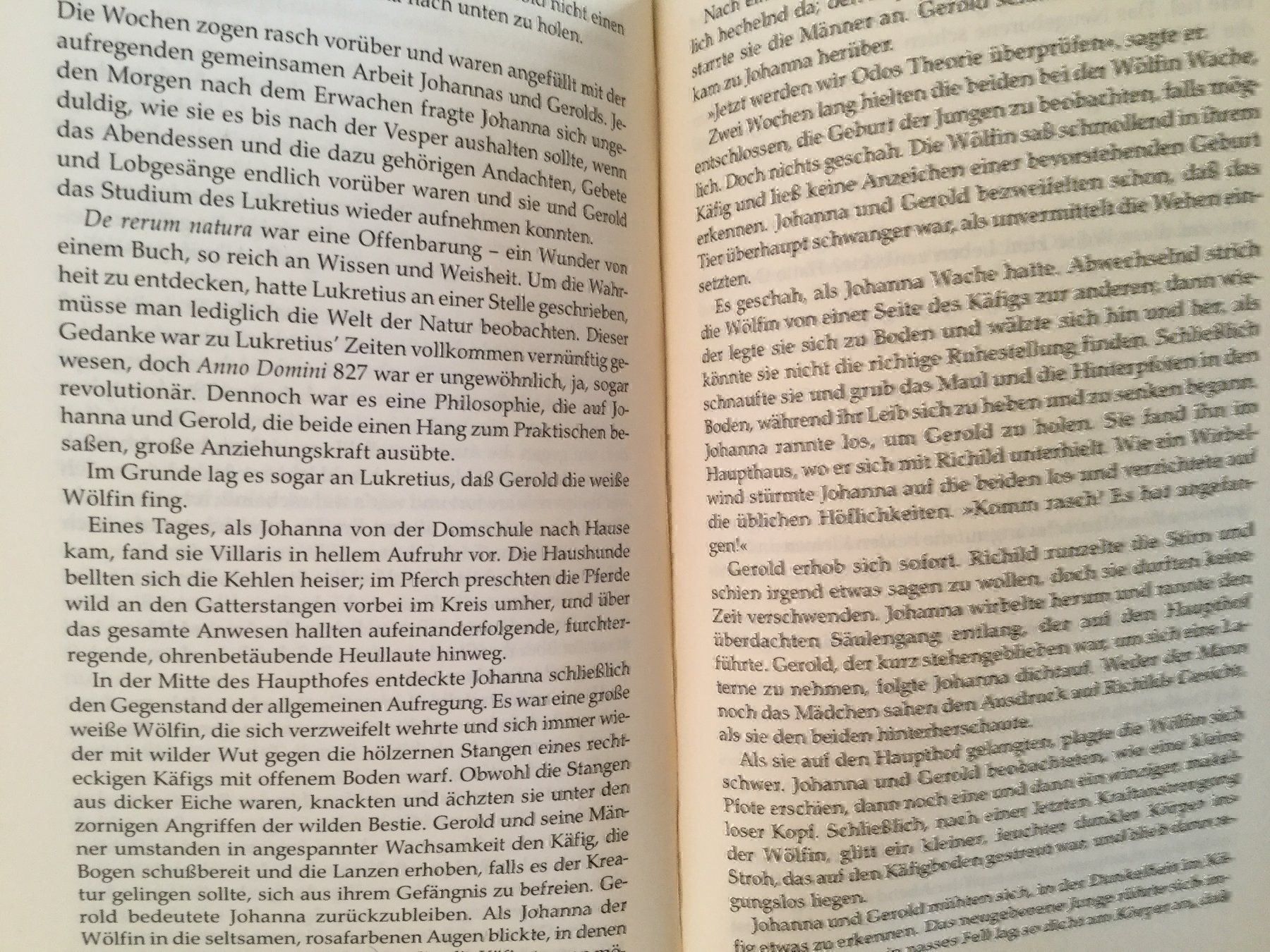 Bücher: Donna W. Cross: Die Päpstin – Gebraucht aus Luzern von Einh0rn 7