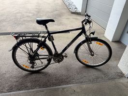 Fahrrad Wheeler 1200TX