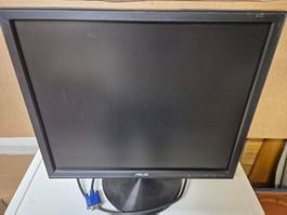 Monitor ASUS 19 Zoll