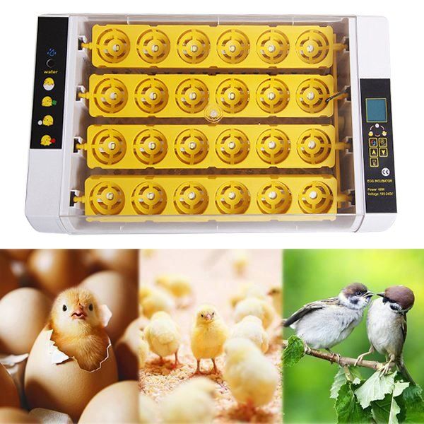 Sonstiges Tierzubehör: 24 Eier Brutmaschine Brutkaste Inkubator – Neu (gemäss Beschreibung) aus Thun von Newnewshop 1