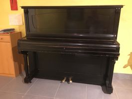 DONNE piano droit