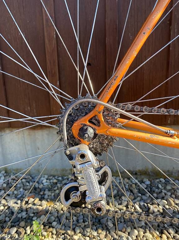 Biciclette: Velo Allegro – Usato da Vevey venduto da jaminn 2