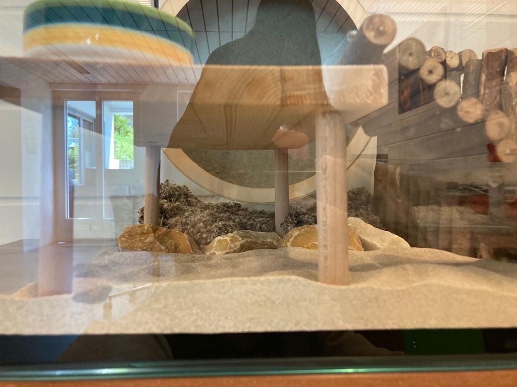 Terrario: Zwerghamster-Terrarium – Usato da Pfäffikon SZ venduto da Borsalino1920 4