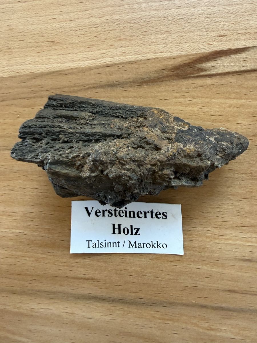 Fossili: Versteinertes Holz – Usato da Grenchen venduto da Bastet007