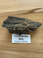 Versteinertes Holz