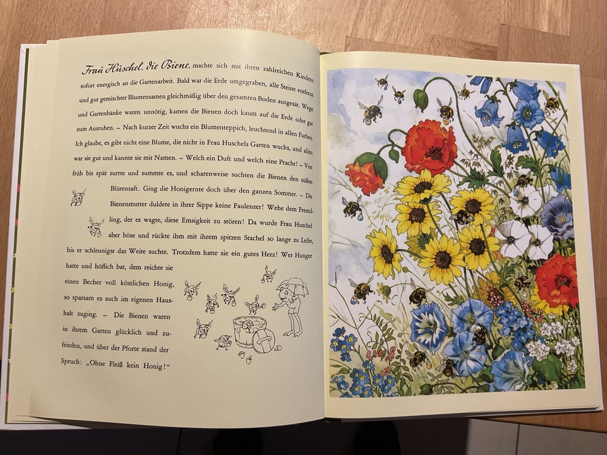 Libri: Gartengemeinschaft Malepünke, 4+ – Nuovo (secondo la descrizione) da Wil ZH venduto da RiccardaWegmann 3