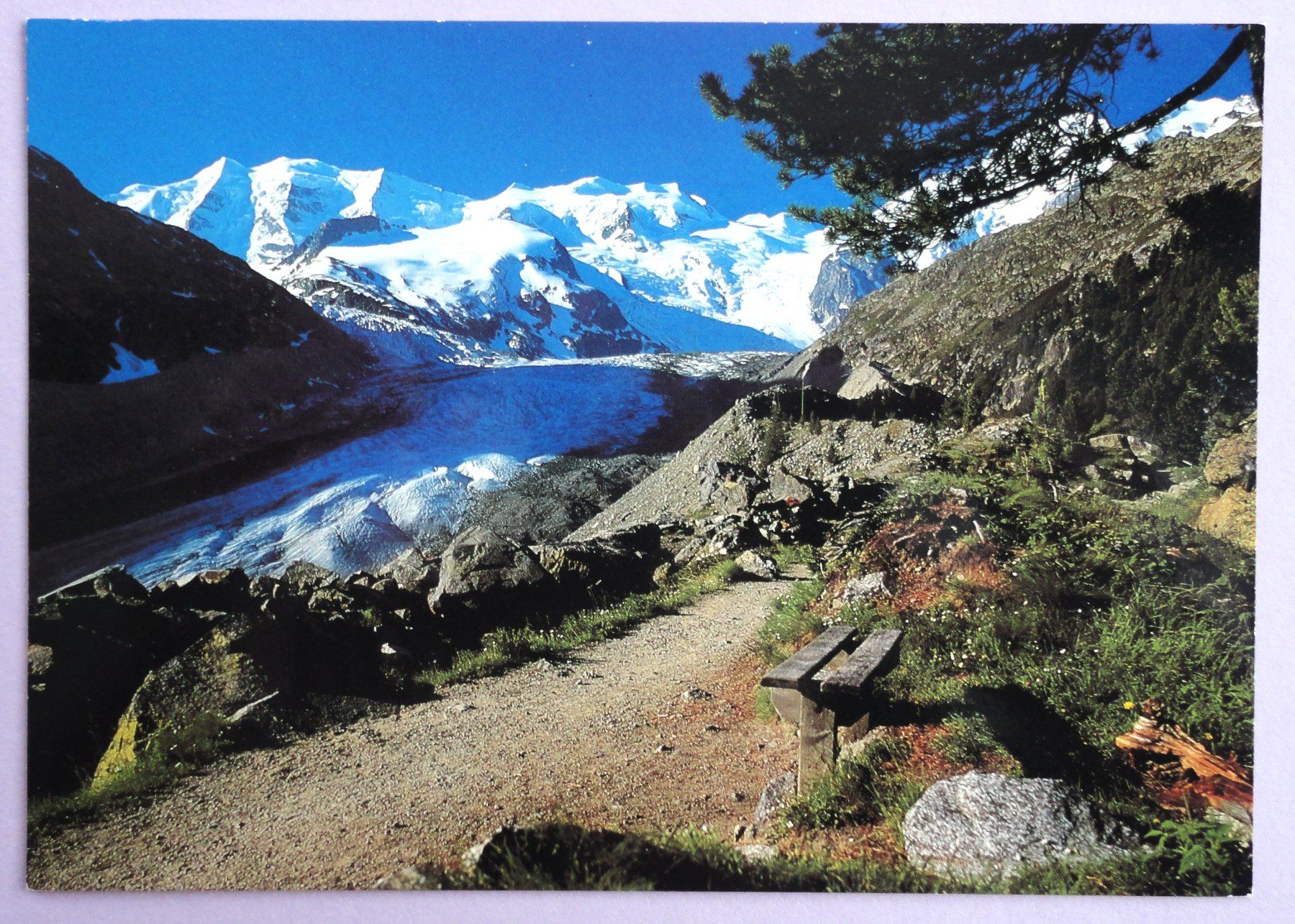 Cartoline postali: Morteratschgletscher mit Berninagruppe – Usato da Fétigny venduto da Billy2miny