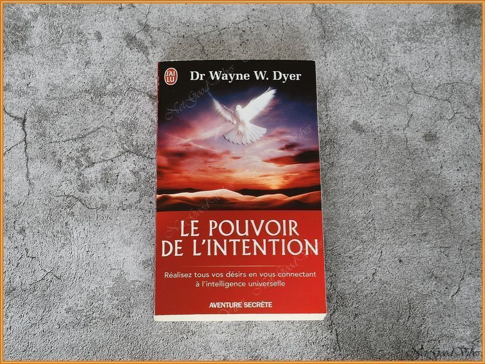 Le pouvoir de l'intention Kaufen auf Ricardo