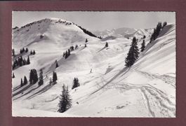 HORNBERG ob Saanenmöser - 1962