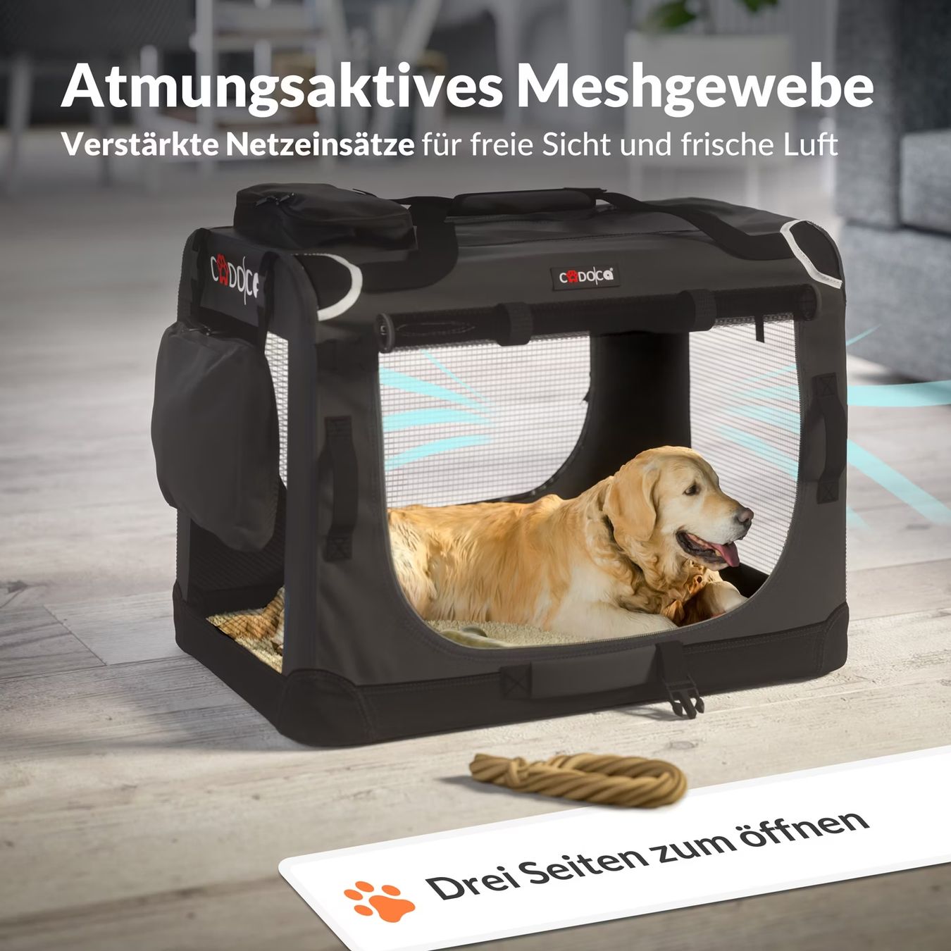 Cucce & Letti: Hunde Transportbox – Nuovo e nell'imballaggio originale da Bichelsee venduto da Andi790