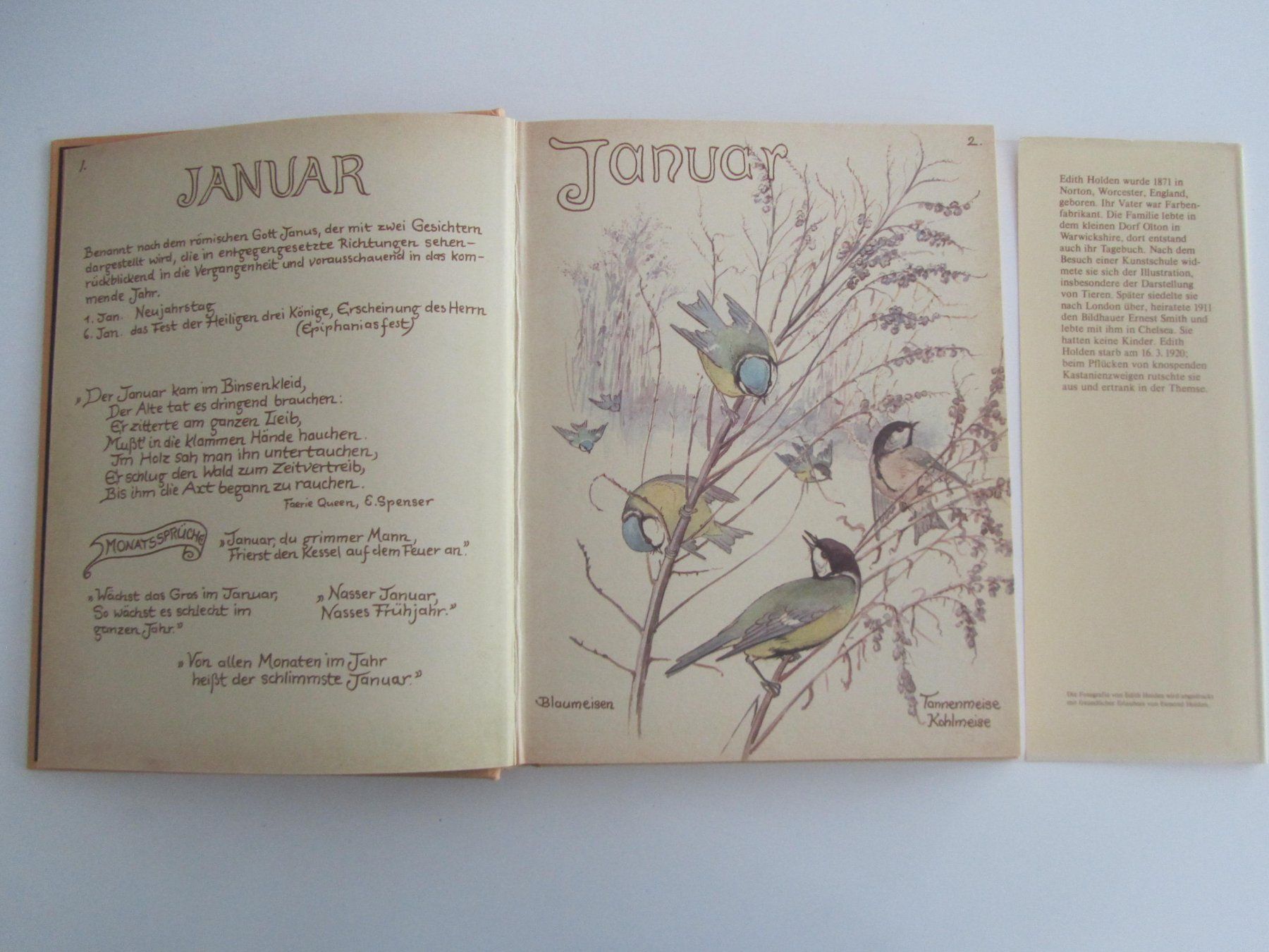 Libri: Das Tagebuch der Edith Holden. – Usato da Locarno venduto da edn.vintage 6