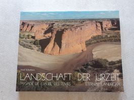 Emil Schulthess – Landschaft der Urzeit im Schuber