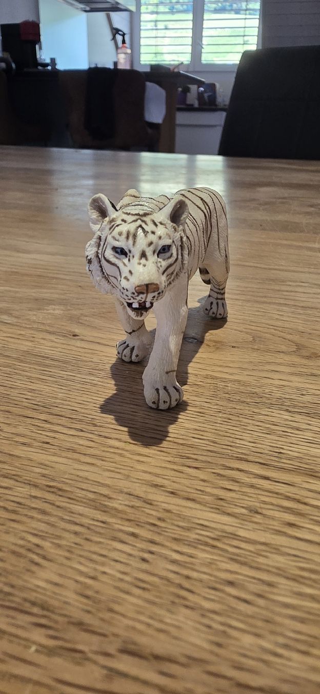 Schleich Giocattoli: Figurine tigre blanc Schleich – Usato da Wettingen venduto da dlililou 1