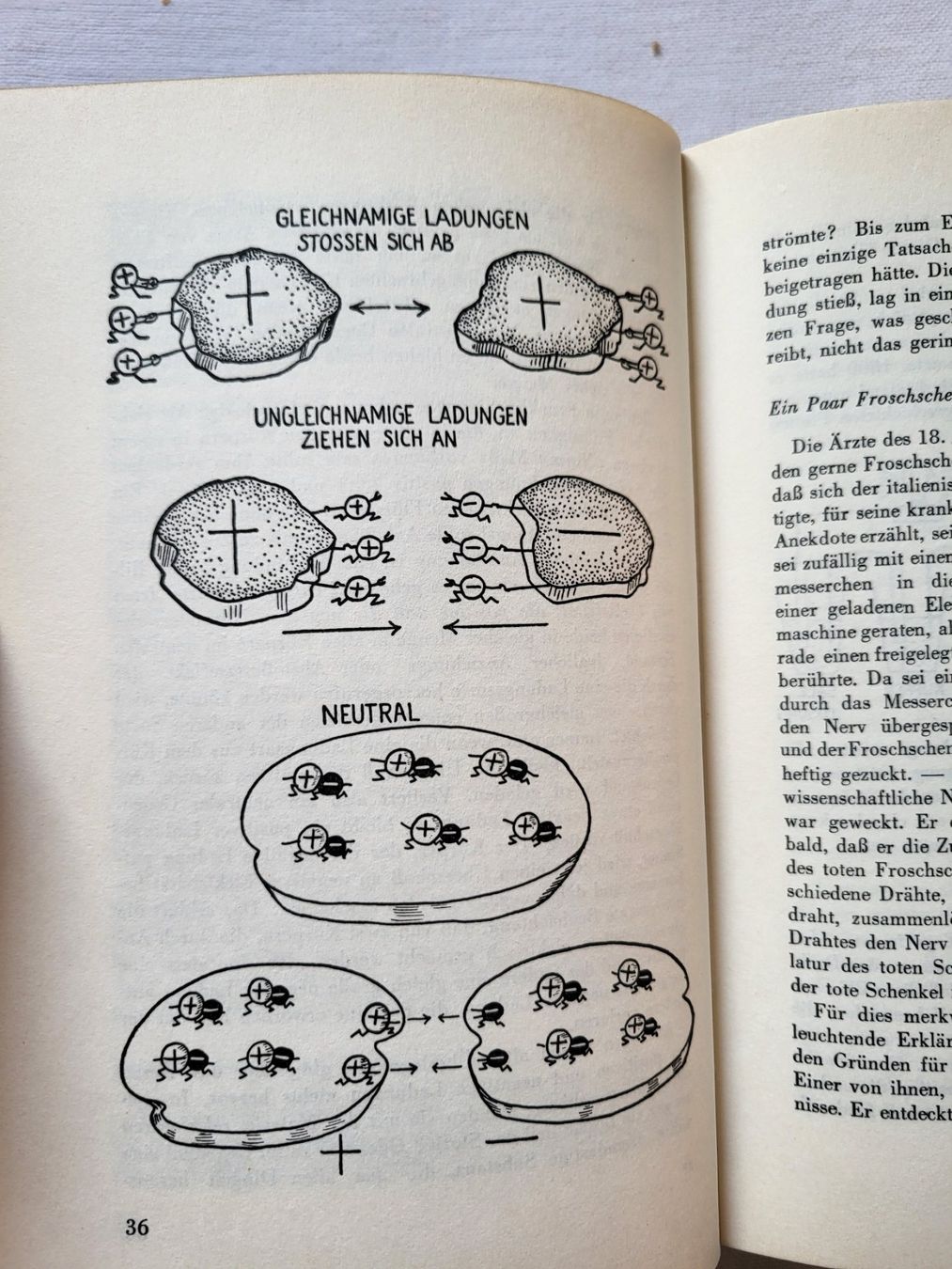Livres: Das Atomzeitalter 1949 – D'occasion à Basel par Treasurehunter 5