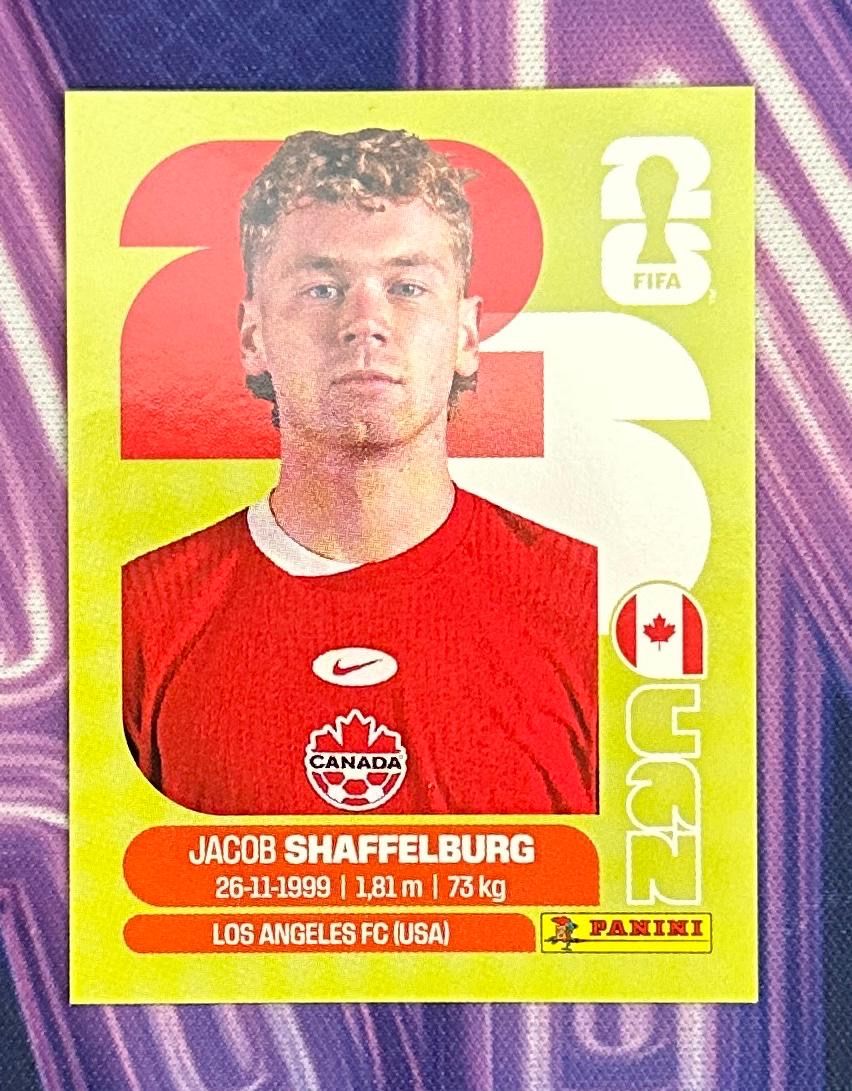 Panini Cartes à collectionner: CAN 14 – D'occasion à Vouvry par ric_jdw2