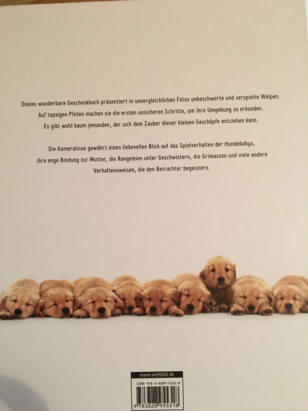 Libri: Hundebaby Porträts – Usato da Siebnen venduto da Starlauf 1