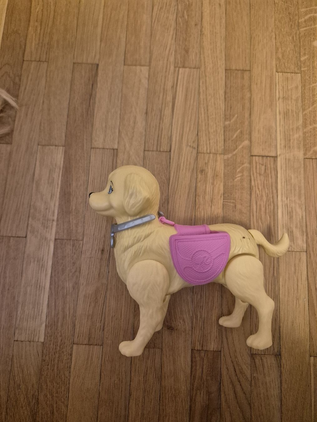 Bambole: Barbie et son chien – Usato da Granges-Paccot venduto da smo_dp89 1
