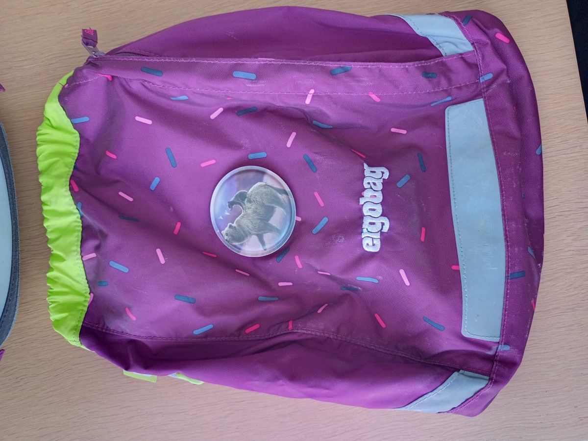 Ergobag Borse & Zaini: Ergobag Schulrucksack sowie Turnbeutel – Usato da Muttenz venduto da Pippo187 5