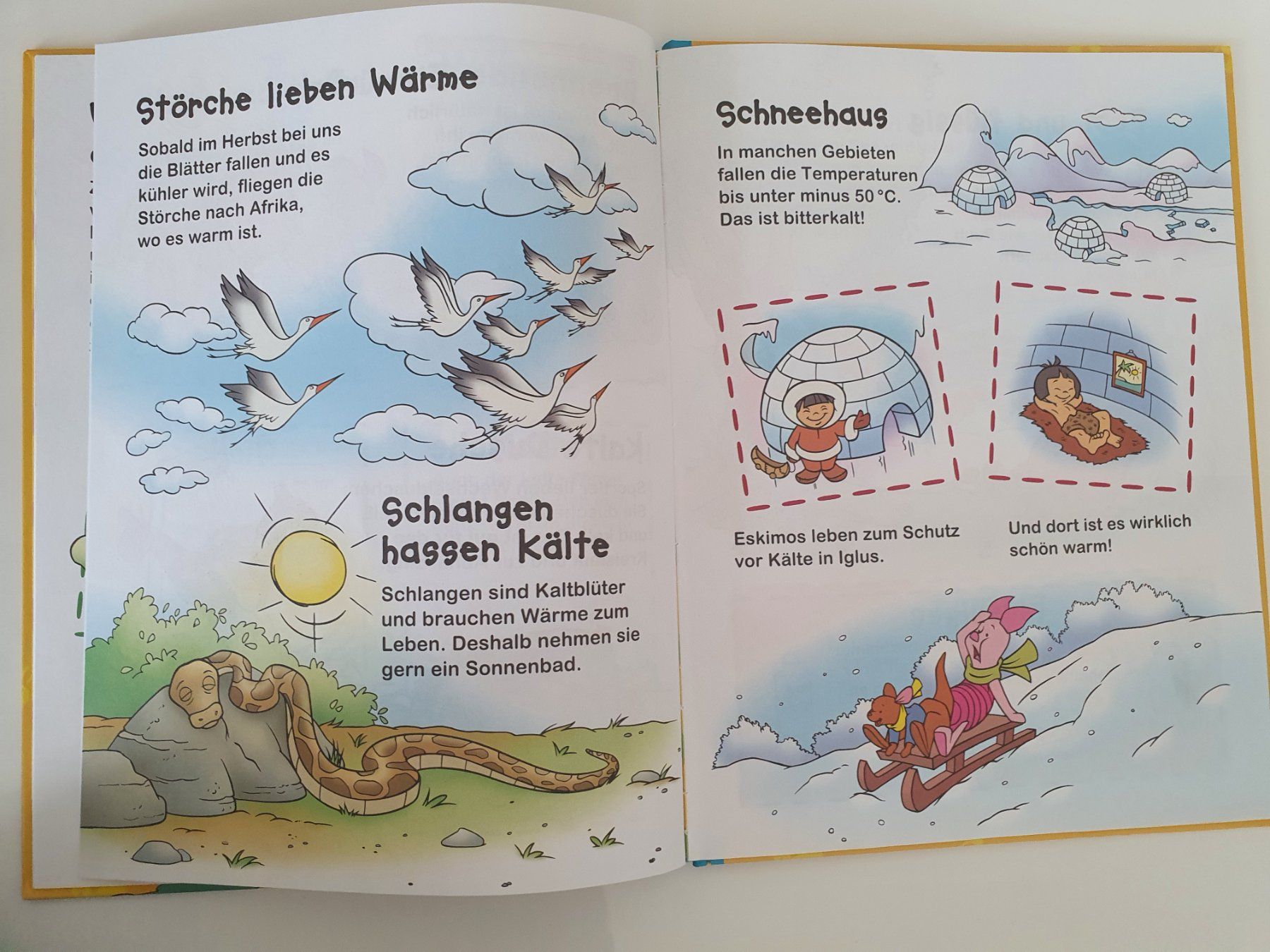 Libri: Winnie Puuh - Entdecke Gegensätze / Disney – Usato da Oberdorf BL venduto da BaldenEagle 2