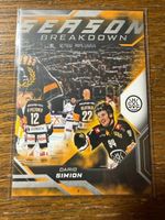 SportZoo Sammelkarten/Playoffs 25-26/Season Breakdown