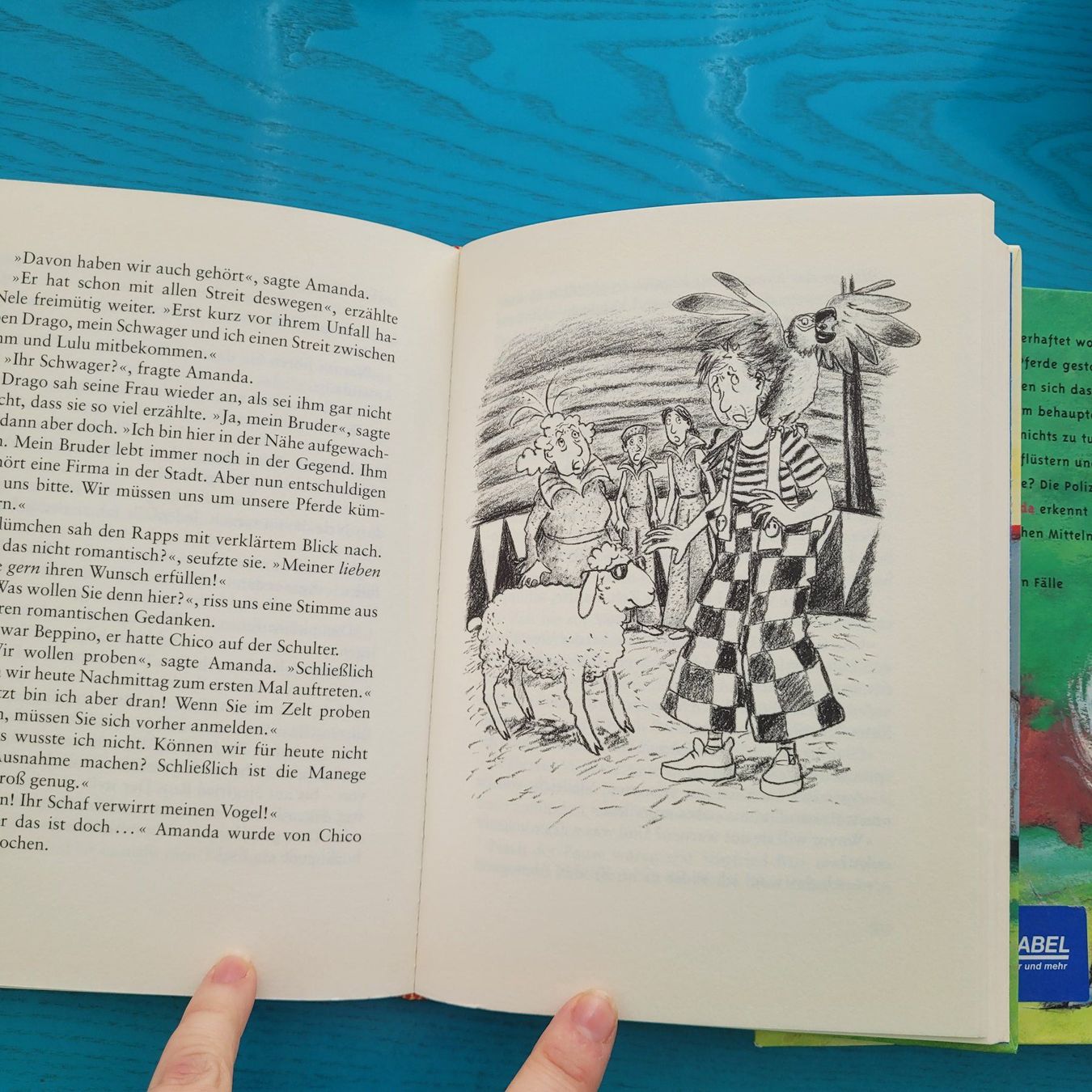 Bücher: Joachim Friedrich - "2x Jugendbuch – Gebraucht aus SCHÜBELBACH von CoKaHa 2