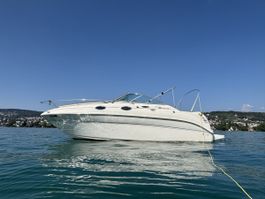 Sea Ray 240 Sundancer 6.2 V8 / BravoIII – inkl. 3.5t Trailer