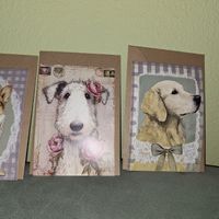 4 Hundekarten mit Umschlag Vintage Stil Neu