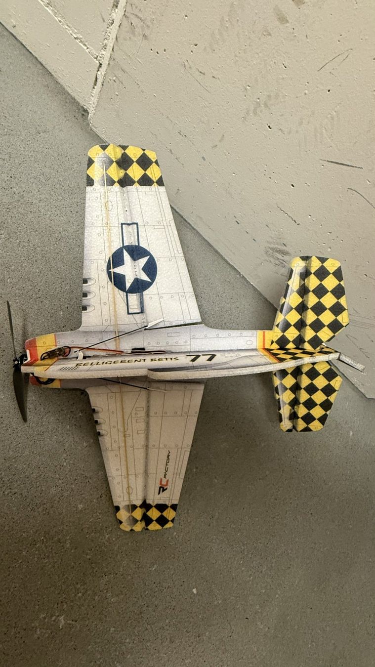 Modellismo RC: Cartoon Warbird Mustang P-51 – Usato da Stansstad venduto da Surri1961 2