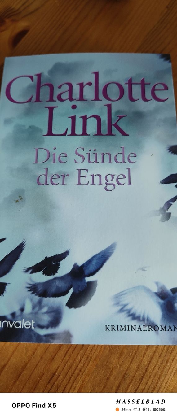 Bücher: Die Sünden der Engel – Gebraucht aus Volken von katz5