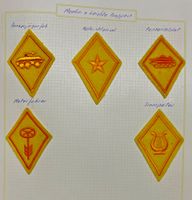 Armée badge abzeichen miroire Kragenspiegel uniforme