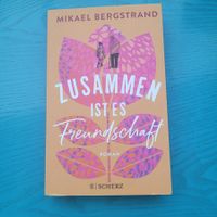 Mikael Bergstrand- Zusammen ist es Freundschaft