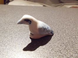 Vogel weiss/blau Töne