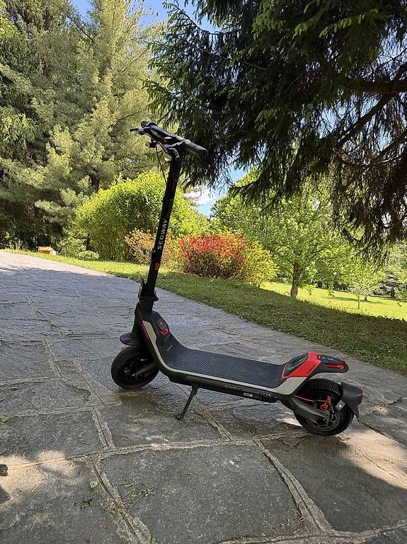 Segway Kickboard: Segway P100S - scooter – Gebraucht aus Mendrisio von Pulaster 1