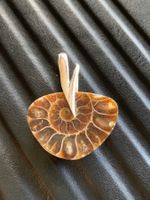 Ammonite Fossile Anhänger 925 Sterling