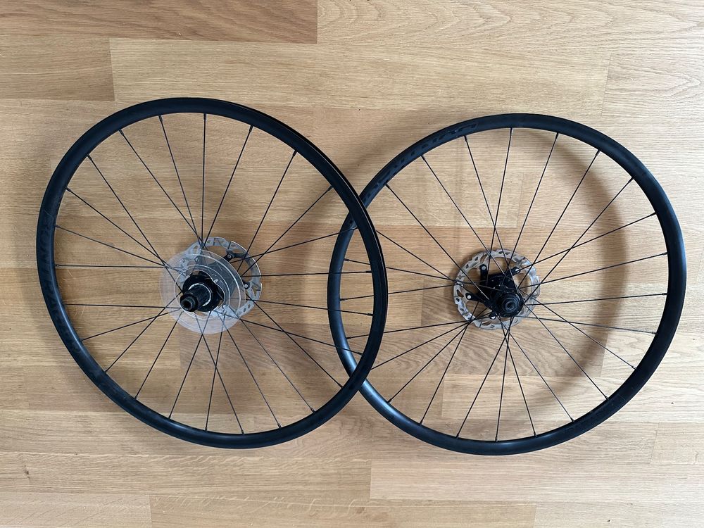 bontrager paradigm