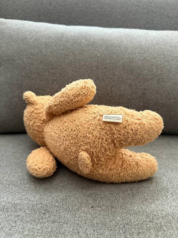 Spielzeuge: Moonie Teddybär - wie neu – Neu (gemäss Beschreibung) aus Uster von ctyfx 1
