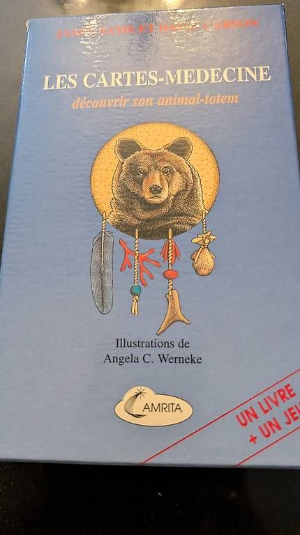 Libri: Les Cartes-Médecine Buch mit Karten – Usato da Ascona venduto da ArtRomantica 2