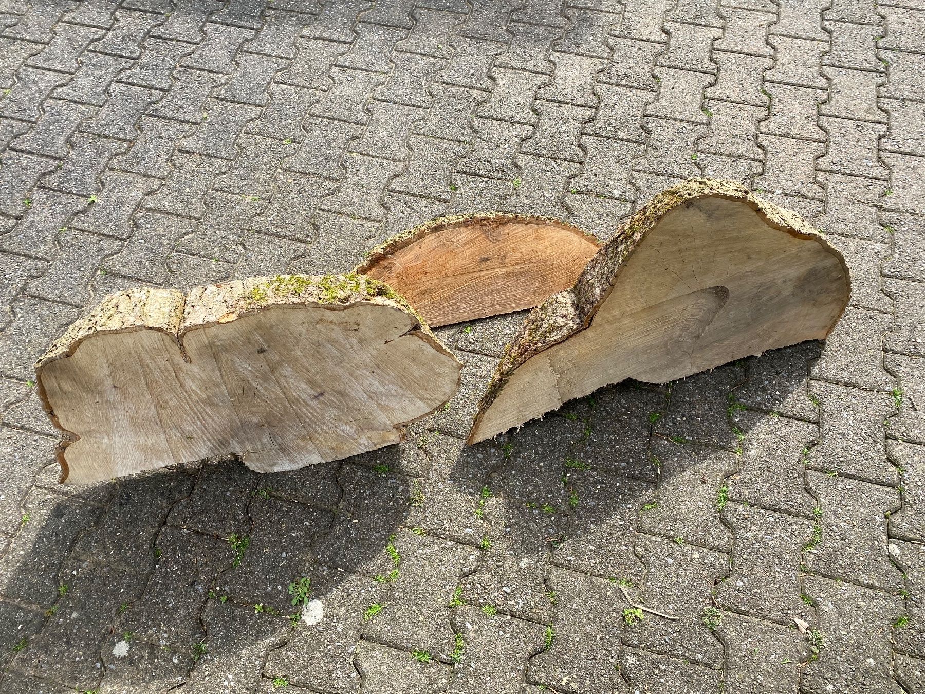 Articoli in legno: 3 schöne Esche-Baumscheiben – Usato da Feldbach venduto da Olive1 8