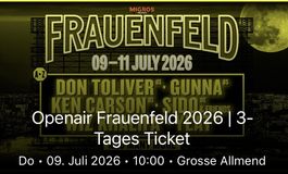 Openair Frauenfeld 1x 3-Tagespass