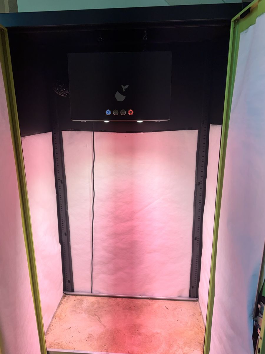 Autres: Hazelbox Grow-Schrank – D'occasion à Oberwil (Dägerlen) par Kurkuma 1
