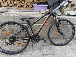 24 Zoll Felt Series Six Velo