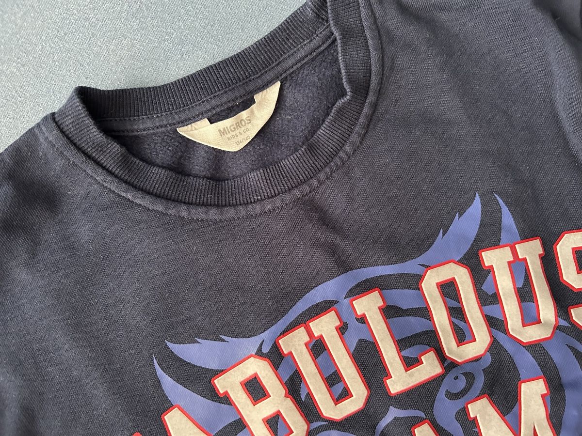 Pulls et sweat-shirts: Pullover 134/140 – D'occasion à Frauenfeld par manuburg 1