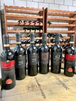 10X Italienischen Rotwein - Apulien & Abruzzen