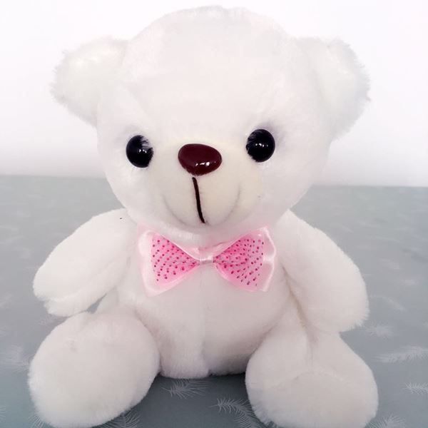 Spielzeuge: Teddy leuchtend mit LED - Superpreis!! – Neu und originalverpackt aus Diepoldsau von preisparadies-ch 2