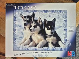 Puzzle 1000 pièces Huskies 665 x 500 mm
