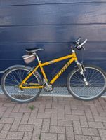 Knabenfahrrad STEVENS. 16 GANG 17ZOLL
