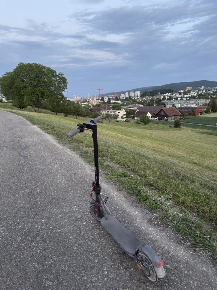 Scooter: Electric Scooter Xiaomi 4 – Usato da Zürich venduto da dnlyy 2